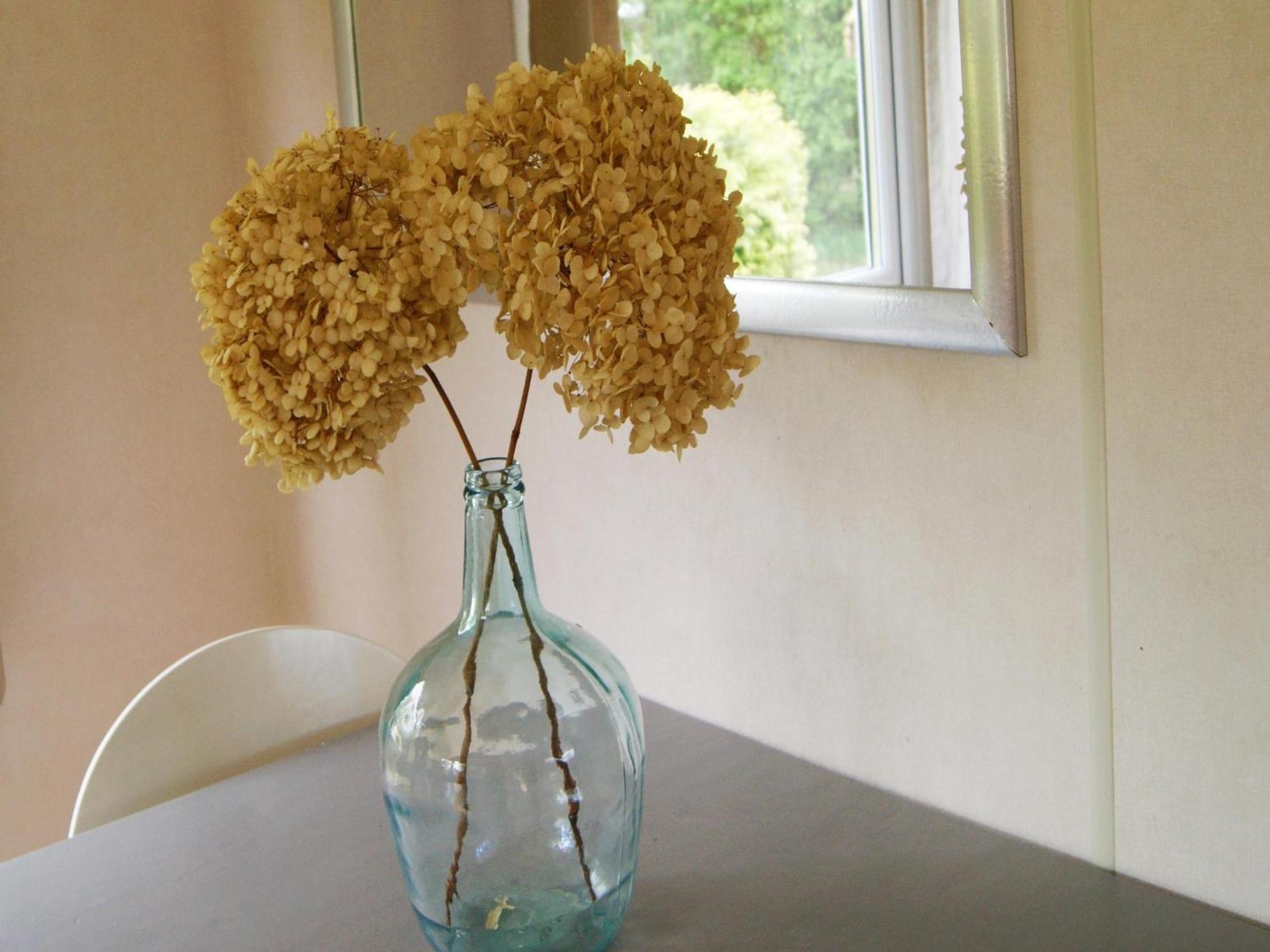 Cosy Holiday Home In Appelscha With Garden מראה חיצוני תמונה